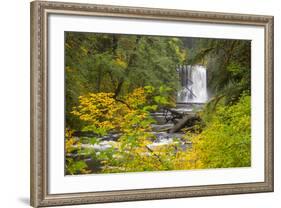 Upper North Falls, Silver Falls State Park, Oregon, USA-Jamie & Judy Wild-Framed Photographic Print