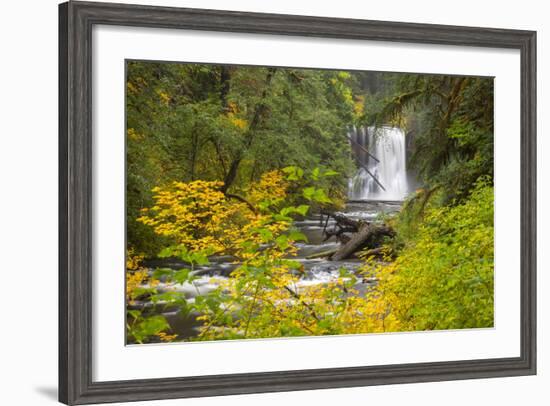 Upper North Falls, Silver Falls State Park, Oregon, USA-Jamie & Judy Wild-Framed Photographic Print