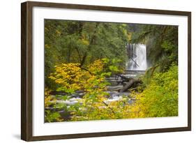 Upper North Falls, Silver Falls State Park, Oregon, USA-Jamie & Judy Wild-Framed Photographic Print