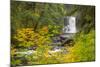 Upper North Falls, Silver Falls State Park, Oregon, USA-Jamie & Judy Wild-Mounted Photographic Print