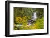 Upper North Falls, Silver Falls State Park, Oregon, USA-Jamie & Judy Wild-Framed Photographic Print