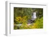 Upper North Falls, Silver Falls State Park, Oregon, USA-Jamie & Judy Wild-Framed Photographic Print