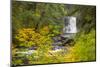 Upper North Falls, Silver Falls State Park, Oregon, USA-Jamie & Judy Wild-Mounted Photographic Print