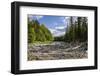 Upper reaches of the Lena River, with century-old log jam of trees, Siberia, Russia-Olga Kamenskaya-Framed Photographic Print