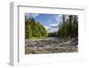 Upper reaches of the Lena River, with century-old log jam of trees, Siberia, Russia-Olga Kamenskaya-Framed Photographic Print