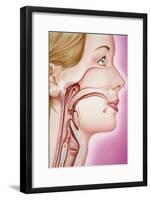 Upper Respiratory Tract, Artwork-John Bavosi-Framed Photographic Print