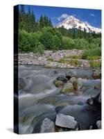 Upper Sandy River & Mt. Hood-Steve Terrill-Stretched Canvas