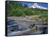 Upper Sandy River & Mt. Hood-Steve Terrill-Framed Stretched Canvas