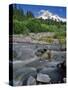 Upper Sandy River & Mt. Hood-Steve Terrill-Stretched Canvas