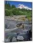 Upper Sandy River & Mt. Hood-Steve Terrill-Mounted Photographic Print