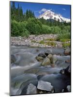 Upper Sandy River & Mt. Hood-Steve Terrill-Mounted Photographic Print