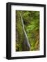 Upper section of Wahclella Falls, Columbia River Gorge National Scenic Area, Oregon-Adam Jones-Framed Photographic Print