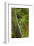 Upper section of Wahclella Falls, Columbia River Gorge National Scenic Area, Oregon-Adam Jones-Framed Photographic Print