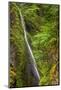 Upper section of Wahclella Falls, Columbia River Gorge National Scenic Area, Oregon-Adam Jones-Mounted Photographic Print