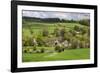 Upper Slaughter, Cotswolds, Gloucestershire, England, United Kingdom, Europe-Stuart Black-Framed Photographic Print