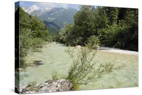 Upper Soca River, Mt Razor, Willow Bushes, Julian Alps, Triglav Nat'l Pk, Slovenia, Europe-Nick Upton-Stretched Canvas