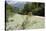 Upper Soca River, Mt Razor, Willow Bushes, Julian Alps, Triglav Nat'l Pk, Slovenia, Europe-Nick Upton-Stretched Canvas
