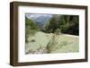 Upper Soca River, Mt Razor, Willow Bushes, Julian Alps, Triglav Nat'l Pk, Slovenia, Europe-Nick Upton-Framed Photographic Print