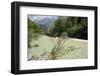 Upper Soca River, Mt Razor, Willow Bushes, Julian Alps, Triglav Nat'l Pk, Slovenia, Europe-Nick Upton-Framed Photographic Print