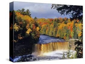 Upper Tahquamenon Falls, Michigan, USA-Chuck Haney-Stretched Canvas