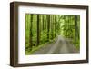 Upper Tremont Road in Spring, Great Smoky Mountains National Park, Tennessee-Adam Jones-Framed Photographic Print