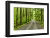 Upper Tremont Road in Spring, Great Smoky Mountains National Park, Tennessee-Adam Jones-Framed Photographic Print