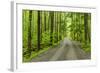 Upper Tremont Road in Spring, Great Smoky Mountains National Park, Tennessee-Adam Jones-Framed Photographic Print