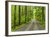 Upper Tremont Road in Spring, Great Smoky Mountains National Park, Tennessee-Adam Jones-Framed Photographic Print