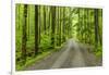 Upper Tremont Road in Spring, Great Smoky Mountains National Park, Tennessee-Adam Jones-Framed Photographic Print