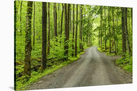 Upper Tremont Road in Spring, Great Smoky Mountains National Park, Tennessee-Adam Jones-Stretched Canvas