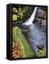 Upper Waterfall at Posforth Gill, Bolton Abbey, Yorkshire, England, United Kingdom, Europe-Mark Sunderland-Framed Stretched Canvas