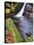 Upper Waterfall at Posforth Gill, Bolton Abbey, Yorkshire, England, United Kingdom, Europe-Mark Sunderland-Stretched Canvas