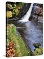 Upper Waterfall at Posforth Gill, Bolton Abbey, Yorkshire, England, United Kingdom, Europe-Mark Sunderland-Stretched Canvas