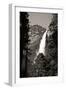 Upper Yosemite Falls in Monochrome-Michele Yamrick-Framed Photographic Print