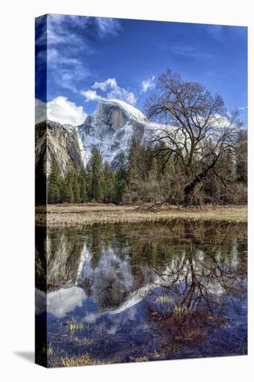 Upper Yosemite Falls seen from Cooks Meadow. Yosemite National Park, California.-Tom Norring-Stretched Canvas
