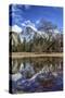 Upper Yosemite Falls seen from Cooks Meadow. Yosemite National Park, California.-Tom Norring-Stretched Canvas