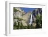 Upper Yosemite Falls, Valley Floor, Yosemite NP, California, USA-Michel Hersen-Framed Photographic Print