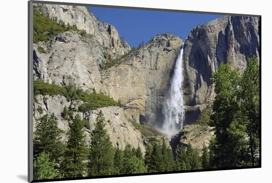 Upper Yosemite Falls, Valley Floor, Yosemite NP, California, USA-Michel Hersen-Mounted Photographic Print