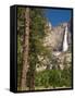 Upper Yosemite Falls. Yosemite National Park, CA-Jamie & Judy Wild-Framed Stretched Canvas