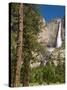 Upper Yosemite Falls. Yosemite National Park, CA-Jamie & Judy Wild-Stretched Canvas