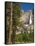 Upper Yosemite Falls. Yosemite National Park, CA-Jamie & Judy Wild-Framed Stretched Canvas