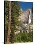 Upper Yosemite Falls. Yosemite National Park, CA-Jamie & Judy Wild-Stretched Canvas