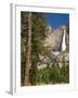 Upper Yosemite Falls. Yosemite National Park, CA-Jamie & Judy Wild-Framed Photographic Print