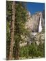 Upper Yosemite Falls. Yosemite National Park, CA-Jamie & Judy Wild-Mounted Photographic Print