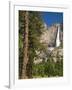 Upper Yosemite Falls. Yosemite National Park, CA-Jamie & Judy Wild-Framed Photographic Print