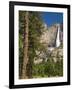 Upper Yosemite Falls. Yosemite National Park, CA-Jamie & Judy Wild-Framed Photographic Print