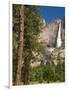 Upper Yosemite Falls. Yosemite National Park, CA-Jamie & Judy Wild-Framed Photographic Print