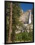 Upper Yosemite Falls. Yosemite National Park, CA-Jamie & Judy Wild-Framed Photographic Print