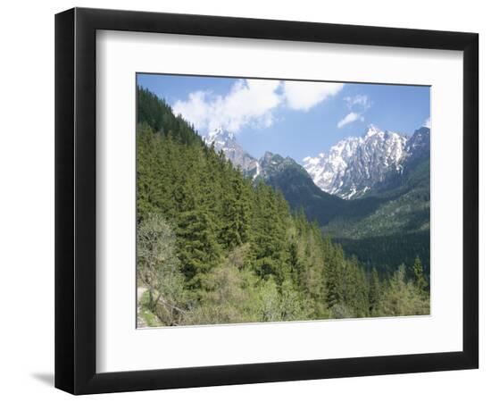 Premium Photographic Print, , large