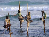 Stilt Fishermen, Weligama, Sri Lanka, Asia-Upperhall Ltd-Photographic Print